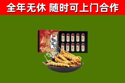 咸宁市回收冬虫夏草价格
